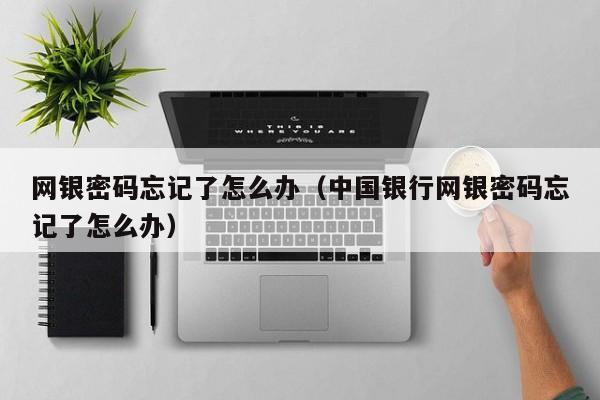 网银密码忘记了怎么办（中国银行网银密码忘记了怎么办）