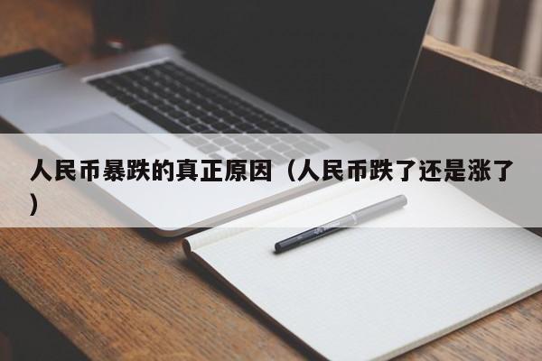 人民币暴跌的真正原因（人民币跌了还是涨了）