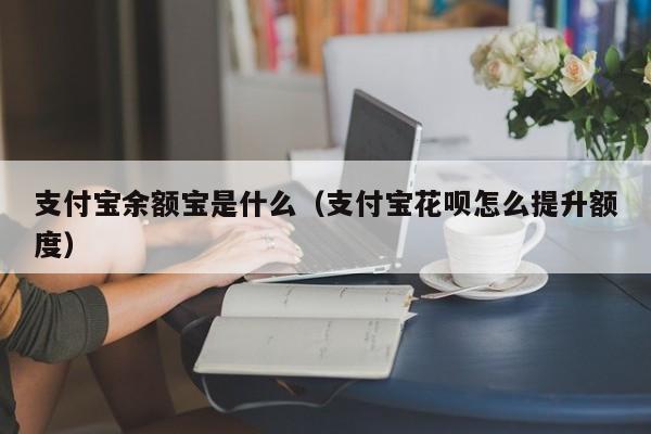 支付宝余额宝是什么（支付宝花呗怎么提升额度）