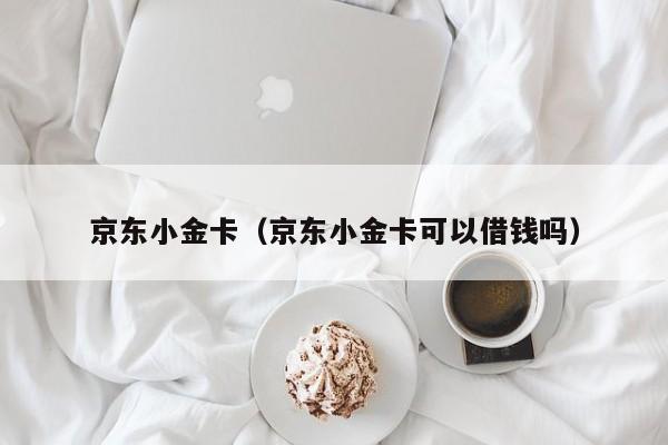 京东小金卡（京东小金卡可以借钱吗）