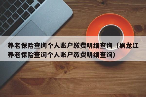 养老保险查询个人账户缴费明细查询（黑龙江养老保险查询个人账户缴费明细查询）