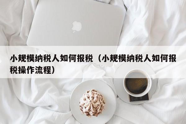 小规模纳税人如何报税（小规模纳税人如何报税操作流程）