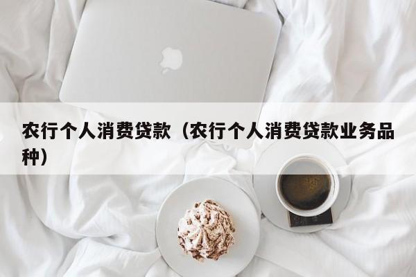 农行个人消费贷款（农行个人消费贷款业务品种）