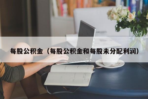 每股公积金（每股公积金和每股未分配利润）