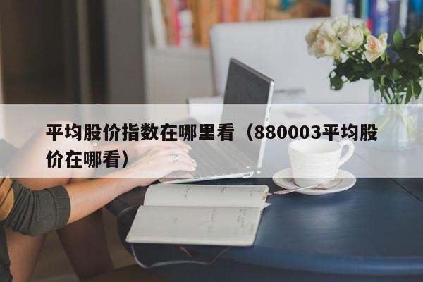 平均股价指数在哪里看（880003平均股价在哪看）