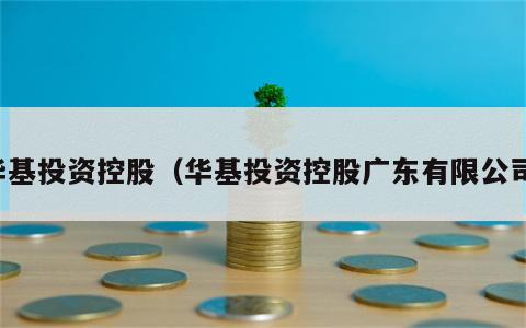 华基投资控股（华基投资控股广东有限公司）