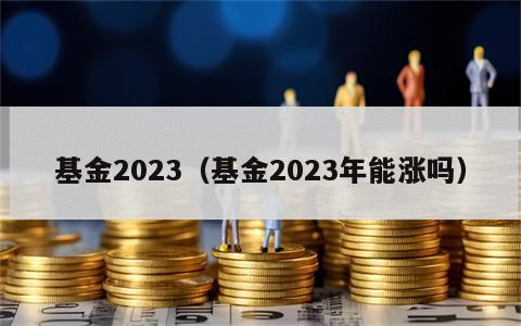 基金2023（基金2023年能涨吗）