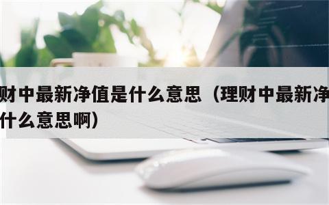理财中最新净值是什么意思（理财中最新净值是什么意思啊）