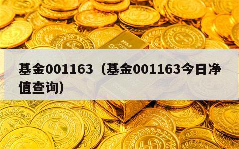 基金001163（基金001163今日净值查询）
