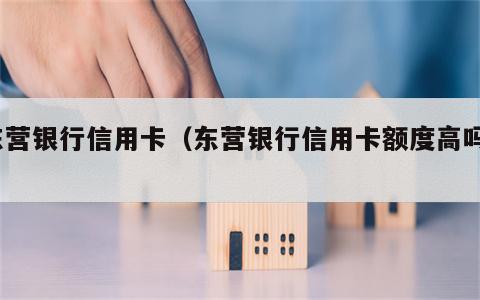 东营银行信用卡（东营银行信用卡额度高吗?）
