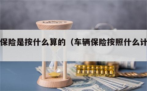车保险是按什么算的（车辆保险按照什么计算）