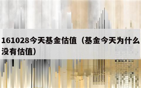 161028今天基金估值（基金今天为什么没有估值）