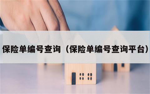 保险单编号查询（保险单编号查询平台）