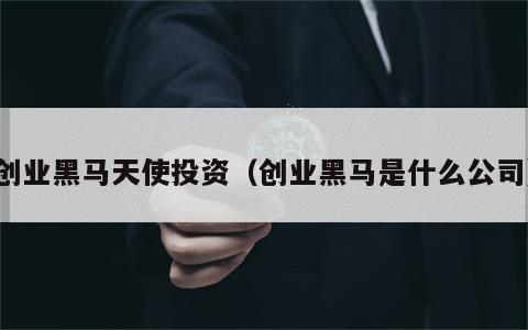 创业黑马天使投资（创业黑马是什么公司）