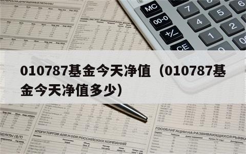 010787基金今天净值（010787基金今天净值多少）
