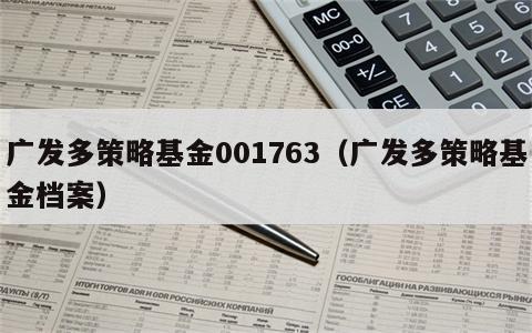 广发多策略基金001763（广发多策略基金档案）