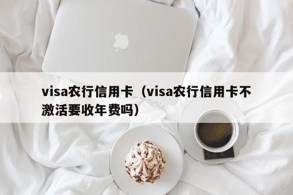 visa农行信用卡（visa农行信用卡不激活要收年费吗）