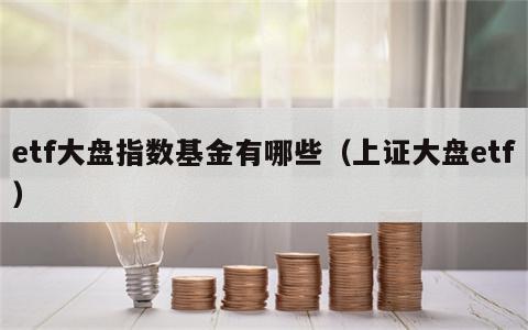 etf大盘指数基金有哪些（上证大盘etf）
