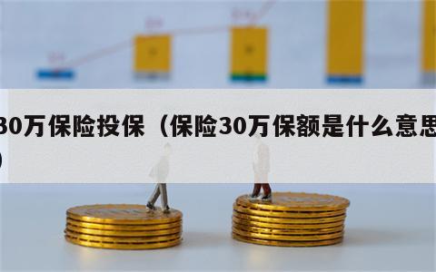 30万保险投保（保险30万保额是什么意思）