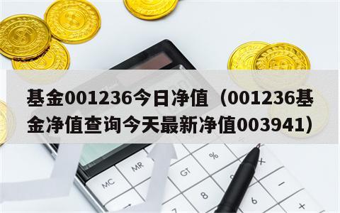 基金001236今日净值（001236基金净值查询今天最新净值003941）