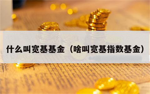 什么叫宽基基金（啥叫宽基指数基金）
