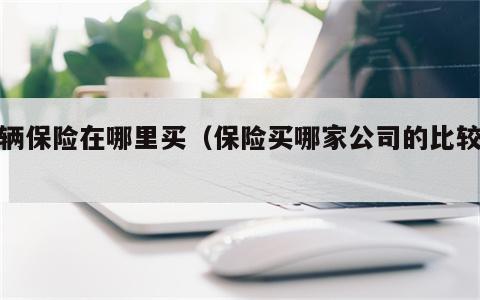 车辆保险在哪里买（保险买哪家公司的比较好）