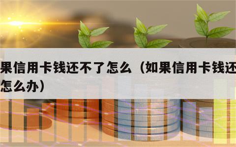 如果信用卡钱还不了怎么（如果信用卡钱还不了怎么办）