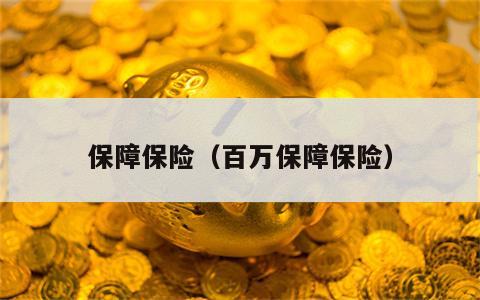 保障保险（百万保障保险）