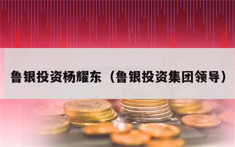 鲁银投资杨耀东（鲁银投资集团领导）