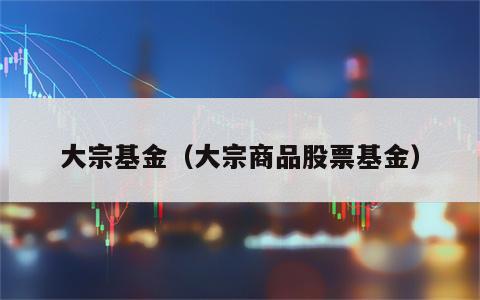 大宗基金（大宗商品股票基金）