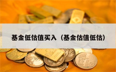 基金低估值买入（基金估值低估）