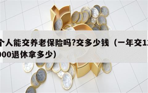 个人能交养老保险吗?交多少钱（一年交12000退休拿多少）