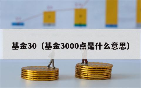 基金30（基金3000点是什么意思）