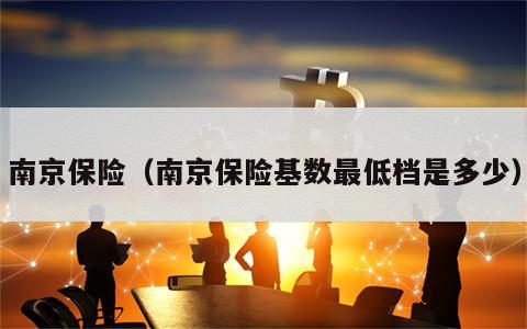 南京保险（南京保险基数最低档是多少）