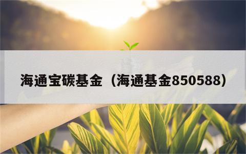海通宝碳基金（海通基金850588）