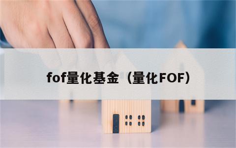 fof量化基金（量化FOF）