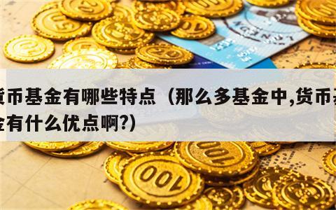 货币基金有哪些特点（那么多基金中,货币基金有什么优点啊?）