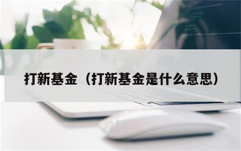 打新基金（打新基金是什么意思）
