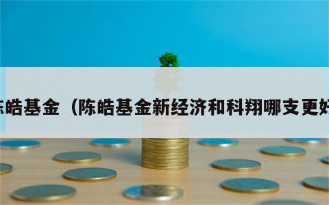 陈皓基金（陈皓基金新经济和科翔哪支更好）