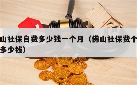 佛山社保自费多少钱一个月（佛山社保费个人交多少钱）