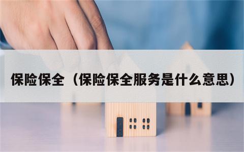 保险保全（保险保全服务是什么意思）