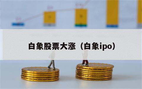 白象股票大涨（白象ipo）