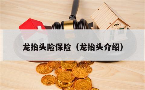 龙抬头险保险（龙抬头介绍）
