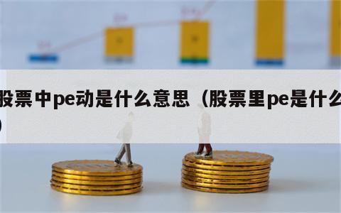 股票中pe动是什么意思（股票里pe是什么）