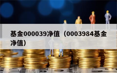 基金000039净值（0003984基金净值）
