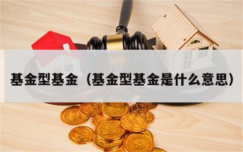 基金型基金（基金型基金是什么意思）