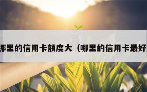 哪里的信用卡额度大（哪里的信用卡最好）