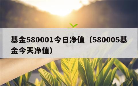 基金580001今日净值（580005基金今天净值）