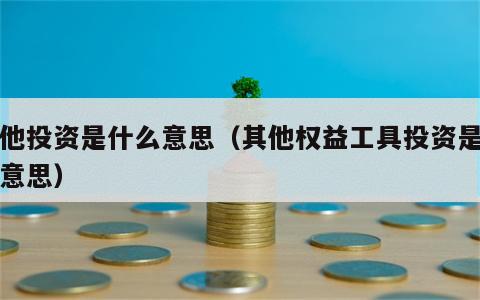 其他投资是什么意思（其他权益工具投资是什么意思）