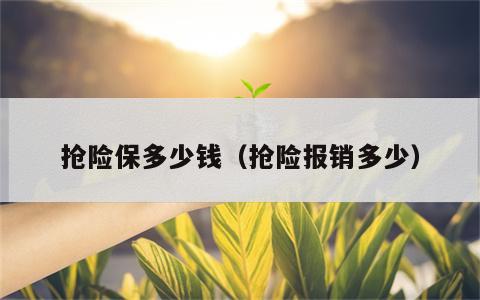 抢险保多少钱（抢险报销多少）